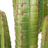 観葉植物 造花 柱サボテン BROWN 全高約112cm 中型 フェイクグリーン 本物そっくり おしゃれ インテリア 人工観葉植物 アーティフィシャルグリーン オフィス 店舗 ホテル 開店祝い 室内 サボテン カクタス フェイク