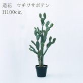 観葉植物 造花 ウチワサボテン BROWN 全高約100cm 中型 フェイクグリーン 本物そっくり おしゃれ インテリア 人工観葉植物 アーティフィシャルグリーン オフィス 店舗 ホテル 開店祝い 室内 サボテン オプンチア フェイク