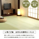 ラグ カーペット 洗える ござ 日本製 国産 丈夫 除菌スプレー対応 敷詰 敷物 ペット 無地 江戸間4.5畳（約261×261cm）