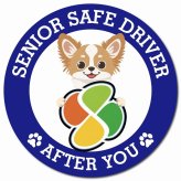 カーサイン 高齢者マーク SENIOR SAFE DRIVER チワズー マグネット 強力 直径13cm 肉球 日本製 車 ステッカー
