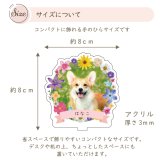 写真入り ペットフレーム キュートシリーズ｜選べる4種 ミニサイズ 犬 猫 愛犬 愛猫 ペット メモリアルグッズ 写真 かわいい オーダーメイド オリジナル 遺影 仏具 位牌 ペット供養 記念 記念品 文字入り フォト 思い出 手元供養 供養 鳥 うさぎ 金魚 カナリア トイプードル チワワ ハムスター 写真立て アルバム ペットロス 名入れ ペットグッズ プレゼント ギフト