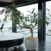 植木鉢 おしゃれ 大型 陶器 釉薬 丸型 ラウンド KONTON コントン アビス ソニア ミドル L M S XS 約16号 約12号 約9号 約6号 クリーム 灰 グレー 底穴あり 屋外 ベランダ 玄関 庭 テラス 観葉植物 多肉植物 シンボルツリー 北欧 モダン ナチュラル 大型プランター 寒冷地対応