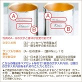 名入れ ペア タンブラー カップ 燕 ステンレス プレゼント ギフト 金婚式 お祝い 名入れ 金の贅 至福ペアタンブラー 250ml 内面24金メッキ ステンレスW構造 MADE IN TSUBAME Laser 結婚記念日 両親 友人 友達 母親 父親 送料無料
