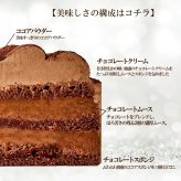 【予約受付中】クリスマス ケーキ チョコ チョコレート ケーキ Xmas 2026 ガトーショコラ 5号 4～6人 送料無料 クリスマス プレゼント  (x21005)