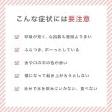 犬用 ひんやりマット Lサイズ ブルー 接触冷感 クールマット 夏 暑さ対策 熱中症対策 中型犬 大型犬 柴犬 コーギー フレンチブルドッグ ベッド マット 洗える 涼感 ペット ドッグ サマー 通気性