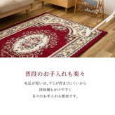 韓国ラグ 韓国風ラグ シェニールラグ ダミニ 長方形 シェニール糸 ジャガード織 滑り止め付き リビング ダイニング 玄関マット キッチンマット ラグマット 絨毯 ふっくら 花柄 上品 高級感 クッション性 レッド ネイビー コンパクト おしゃれ