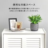 収納家具 ラック シューズ 靴箱 引出し 玄関収納 下駄箱 2扉 シューズボックス スリム 省スペース 可動棚 ルーバー扉 スリッパ収納 木目 大容量 棚 おしゃれ かわいい リビング 玄関 エントランス