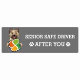 カーサイン 高齢者マーク SENIOR SAFE DRIVER ケアーンテリア ステッカー シール 長方形 15x5cm 肉球 日本製 車