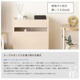収納家具 ラック ケーブルボックス 大 RTSB-H60 3色対応 収納ボックス 収納ケース ケーブル収納 電源タップ収納 ルーター収納 小物入れ 小物置き 可動棚 コード入れ ボックス 木製 シンプル おしゃれ