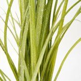 観葉植物 造花 グラス BROWN 全高約65cm 卓上・小型 フェイクグリーン 本物そっくり おしゃれ インテリア 人工観葉植物 アーティフィシャルグリーン オフィス 店舗 ホテル 開店祝い 室内 ミニ ナチュラル 草 フェイク