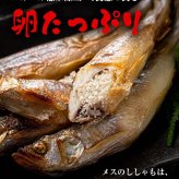 子持ち 本シシャモ　30尾入り　（中サイズ）　北海道鵡川・広尾・厚賀・釧路産 ししゃも 脂のりも良く、ご飯のおかずに最適 干物 柳葉魚 干し魚 ぷちぷち卵の食感も味わえます 焼き魚