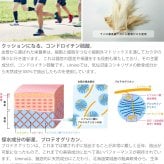 umino フカ コンドロイチンプラス 30g（250mg×約120錠）