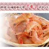 ボタンエビ 活 〆 オス 大中サイズ 1kg 秋 北海道 噴火湾産 送料無料※沖縄は送料別途加算
