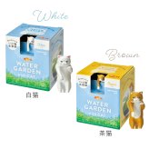 じゃれ猫水草鉢 猫と楽しむミニアクアリウム水草栽培キット 鉢付き フィギュア付き 猫 ネコ ねこ 金魚 植物 グリーン スターターセット オブジェ 置物 おしゃれ インテリア 雑貨 ギフト プレゼント 男性 女性 誕生日 母の日 父の日 敬老の日 引越し祝い 新築祝い お祝 ラッピング対応 無料ラッピング