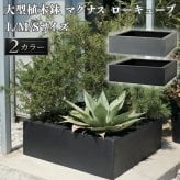 植木鉢 おしゃれ 大型 四角 角型 スクエア 浅型 ローボウル KONTON コントン マグナス ローキューブ ファイバーポリストーン 軽量 底穴あり 屋外 S M L グレー ブラック 観葉植物 多肉植物 シンボルツリー 北欧 和モダン モダン ナチュラル プランター ベランダ 玄関