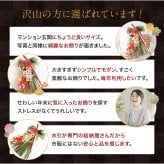 しめ縄 おしゃれ 注連縄 しめ飾り 正月飾り 玄関 モダン 国産 水引 リース 紅白夢見草 フック付き 迎春 お正月飾り 干支 十二支 門松 .しめ縄.