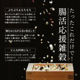 雑穀 雑穀米 国産 麦の恵み24穀米ブレンド【選べる800g~4kg】雑穀米本舗 [丸麦/押麦/はだか麦/もち麦/はとむぎ] 無添加 無着色 徳用サイズ 送料無料