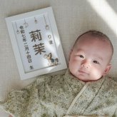【木馬刺繍命名書】刺繍 命名書 フレーム付き 額付き シンプル 赤ちゃん 命名紙 台紙  名入れ ギフト 1歳 誕生日 記念品 出産祝い ２Ｌサイズ  ギフト プレゼント おしゃれ かわいい 額縁