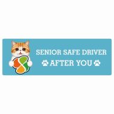 カーサイン 高齢者マーク SENIOR SAFE DRIVER エキゾチックショートヘア ステッカー シール 長方形 15x5cm 肉球 日本製 車