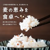 雑穀 雑穀米 国産 麦の恵み24穀米ブレンド【選べる800g~4kg】雑穀米本舗 [丸麦/押麦/はだか麦/もち麦/はとむぎ] 無添加 無着色 徳用サイズ 送料無料