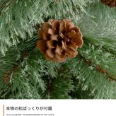 照明 ライト ツリー もみの木 ヌードツリー 組み立て簡単 led 脚カバー リアル 散らからない 電池式 コントローラー付き 高さ120 LED 電飾 装飾 Xmas christmas tree 松ぼっくり付き かわいい パーティー オーナメント
