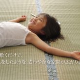 夏ラグ 夏用カーペット 純国産 い草 上敷き カーペット 糸引織 『湯沢』 江戸間2畳(約176×176cm）