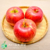 サンつがる　約10kg　16-46玉　りんご　長野県産