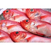 金目鯛 しゃぶしゃぶ 4皿セット 国産 銚子つりきんめ 刺身用 スライス 魚介 海鮮 高級 ギフト 贈り物 お祝い 内祝い お取り寄せ グルメ 贅沢 冷凍 鍋 魚