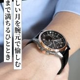 シチズン アテッサ ダイレクトフライト ムーンフェイズ 光発電エコドライブ電波 腕時計 ブランド チタン ソーラー電波 革ベルト CITIZEN BY1004-17X メンズ