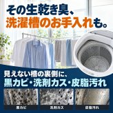 非塩素系 洗濯槽クリーナー プロ仕様 750g 無香料 強力発泡 酵素系 黒カビ カビ胞子除去率99.9％ 除菌 消臭 生乾き臭 生乾き 入れるだけ ワカメ 溶かす