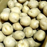 じゃがいも 訳あり北海道 じゃがいも 男爵いも S-Mサイズ 9.5-10kg前後×2箱 送料無料 ※沖縄は送料別途加算