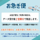 LINEで簡単★送料無料 敬老の日 2026 写真入り 3ポケットポーチ メッセージ入れ 名入れ 小物入れ ペンケース メイクポーチ うちの子 孫 祖父 祖母 プレゼント お絵かき水筒 【820】