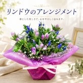 リンドウ りんどう 竜胆花 秋  アレンジメント アレンジ ラッピング無料 お祝い 誕生日 開業祝い 移転祝い 昇進 就任 還暦 フラワーギフト プレゼント お花のプレゼント