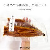 ＜数量限定＞国産うなぎの蒲焼き 2尾（小90g〜100g×2尾） 送料無料 父の日 ギフト お中元 土用丑の日