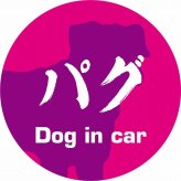 Dog in car ドッグインカー ステッカー カーステッカー パグ 毛筆書体 ピンクパープル シール 煽り運転対策 カーサイン