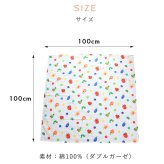 はらぺこあおむし マルチガーゼケット | 100×100cm ベビー 赤ちゃん 新生児 日本製 ダブルガーゼ 夏 夏用 綿100% おくるみ お昼寝ケット お昼寝 タオルケット 退院 大判