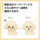 PURSUIT OF LOVE パシュートオブラブ ドッグフード 新きらきら ぼくらのなみだごはん 食べきりサイズ 40g