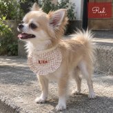 ペット用 スタイ ギンガムチェック 名入れ 名入れ無料 犬 猫 うさぎ よだれかけ 汚れ防止 ビブ 前掛け ドッグウェア インスタ映え 食事 散歩 アクセサリー おしゃれ おめかし バースデー 誕生日 おでかけ お祝い プレゼント ギフト 可愛い