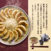 浜松餃子 ご当地餃子 45個 75個 選べる たれ付き 本場の味を楽しむ お取り寄せ グルメ ギフト 贈り物 母の日 父の日 お中元 お歳暮 敬老の日 内祝い 誕生日 お祝い プレゼント 熨斗対応 シュリンク包装 当地グルメ 贈答用