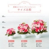 フラワーギフト カラフルガーデンフラワーアレンジメント Mサイズ 生花 花市場から直送 父の日  お祝い 誕生日 記念日