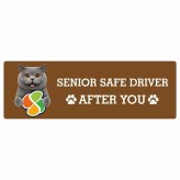 カーサイン 高齢者マーク SENIOR SAFE DRIVER ブリティッシュショートヘア ステッカー シール 長方形 20x6.7cm 肉球 日本製 車