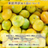 みかん 山北みかん くだもの畑 家庭用訳あり B品 高知産 約5kg 蜜柑 温州みかん 露地 小玉 小粒 中玉 大玉 果物 旬 ミカン 家庭用 甘くておいしい 高知県産 産地直送 産直 農家さんの手詰めミカン やみつきになる山北みかん【送料無料】
