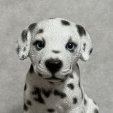 犬の置物 woobia ウービア お座りダルメシアン 子犬 リアル動物オーナメント 高さ12cm 青い瞳 イギリス職人手彩色 玄関 リビング 棚 インテリア 犬好き 誕生日 新築祝い 記念日 お祝い ギフト プレゼント かわいい