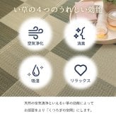 夏ラグ 夏用カーペット 純国産 い草花ござカーペット 『ブロック』 江戸間2畳(約174×174cm）