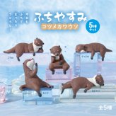 【5種類セット】 エール ガチャ ふちやすみ コツメカワウソ コンプリート 中身 ガチャガチャ