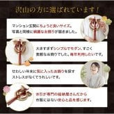 しめ縄 国産 日本製 おしゃれ 注連縄 しめ飾り 正月飾り 玄関 モダン 水引 リース 初 迎春 お正月飾り 干支 十二支 門松 .しめ縄.