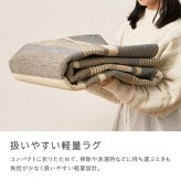 ラグ カーペット 洗える速乾タフト フィン 約185×185cm すぐ乾く 洗える 日本製 速乾 軽量 モダン おしゃれ 抗菌 防臭 国産 絨毯 じゅうたん タフト織 新生活