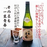 名入れ 日本酒 ギフト【 一生青春 吟醸 720ml 名入れ 酒グラス ひのき升 セット 】 誕生日 プレゼント 父の日 母の日 還暦祝い 退職祝い 古希祝い 喜寿祝い 米寿祝い 成人祝い 敬老の日 お中元 お歳暮 暑中見舞い 結婚祝い お祝い 福島県 ありがとう おめでとう