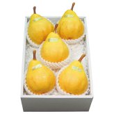 送料無料 お歳暮 新潟産 ルレクチェ  ※12月3日?12月中旬出荷 北海道・沖縄・離島は配達不可 全国送料無料御中元ギフト早割お中元2026御中元御見舞お見舞いお取り寄せグルメスイーツ