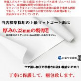日本製 ポール ポワレ 草花 ボタニカル A3 サイズ ポスター アート おしゃれ 絵画 インテリア 北欧 イラスト マット紙 艶消し アートパネル 額 フレーム デザイン 壁掛け ギフト 新築祝い ディスプレイ  速達 送料無料